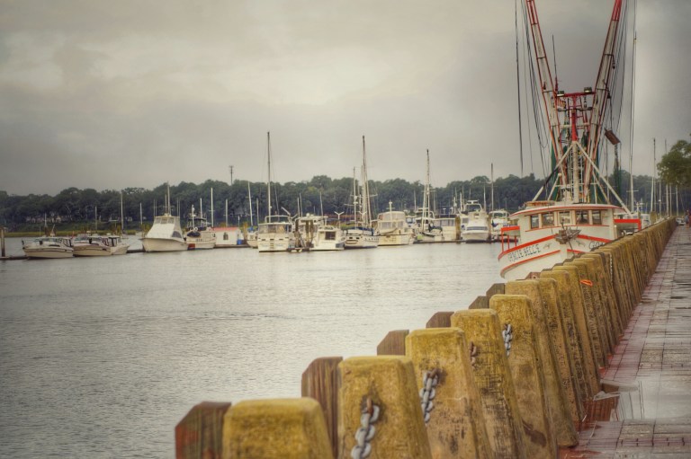 _DSC0925-01.jpeg image