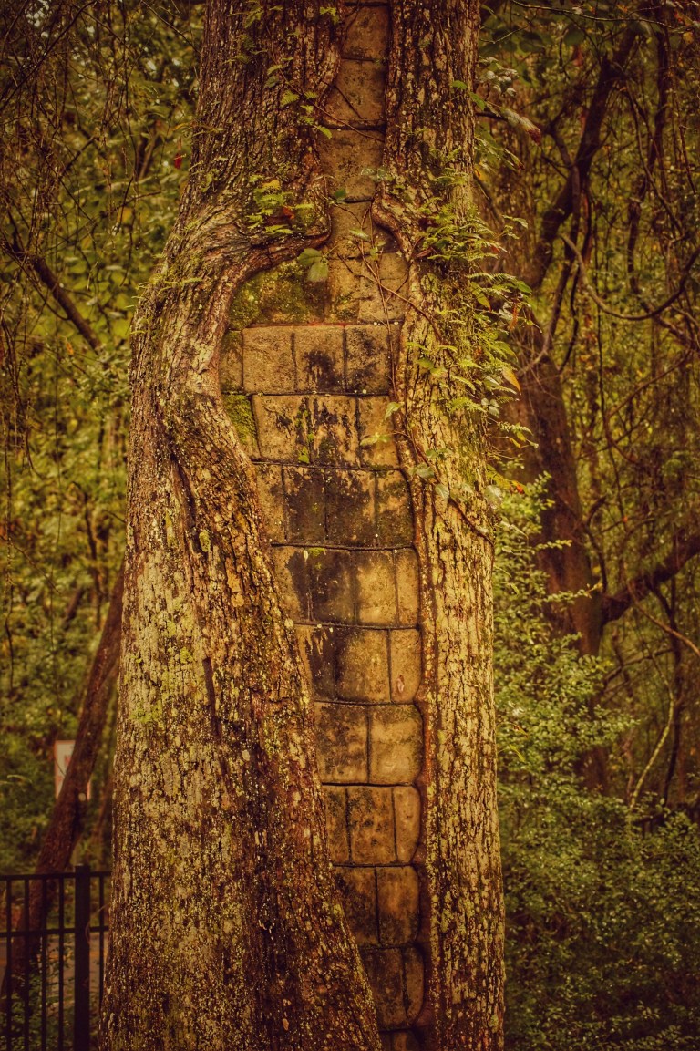 _DSC0947-01.jpeg image